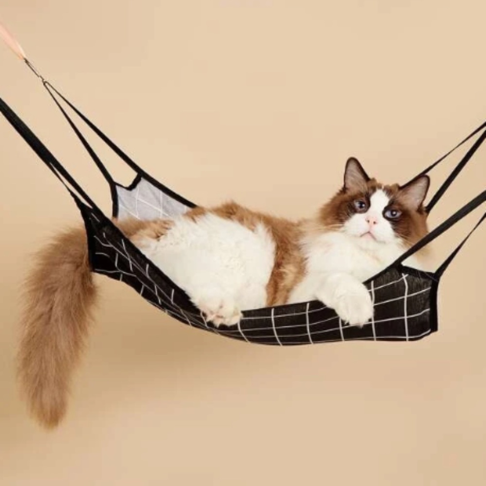 Pet Hammock